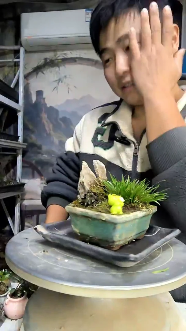 立*陈中青园艺一物一拍花55