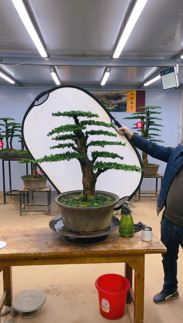 【闪购商品】888666