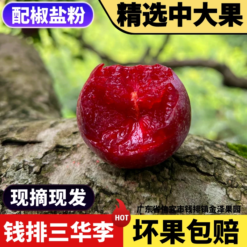 林家年助农[中大果]正宗钱排银妃三华李2斤起新鲜酸甜脆李子水果