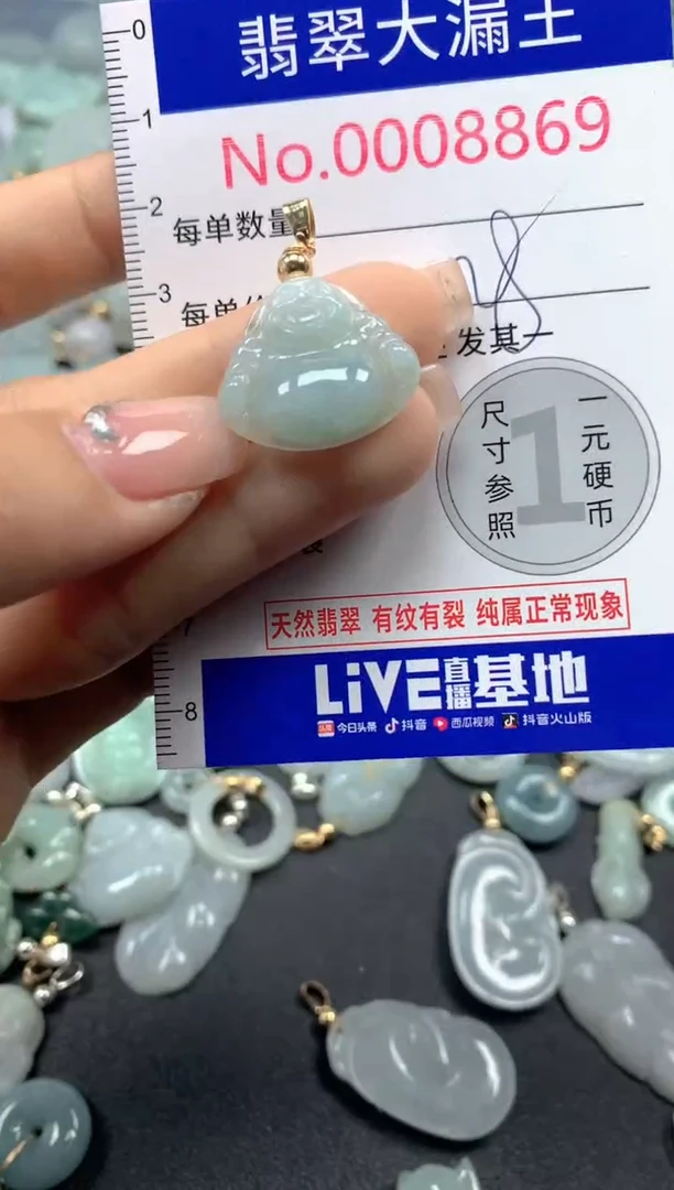 颈饰未镶嵌翡翠8869