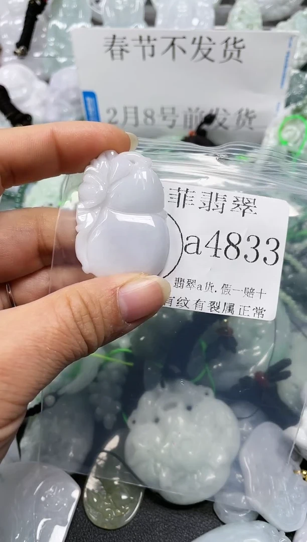 【闪购商品】翡翠颈饰未镶嵌闪购4833