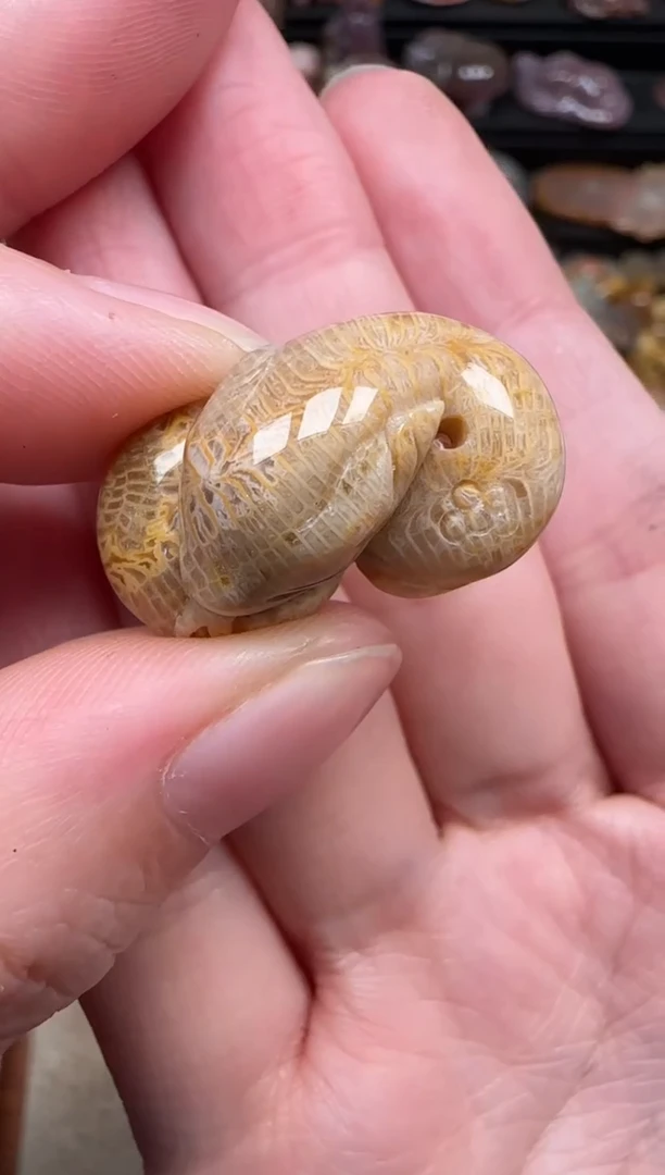 颈饰未镶嵌硅化珊瑚（珊瑚玉）310