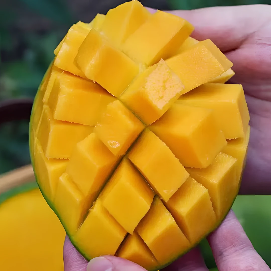 攀枝花凯特芒果整箱新鲜当季水果坏果包赔
