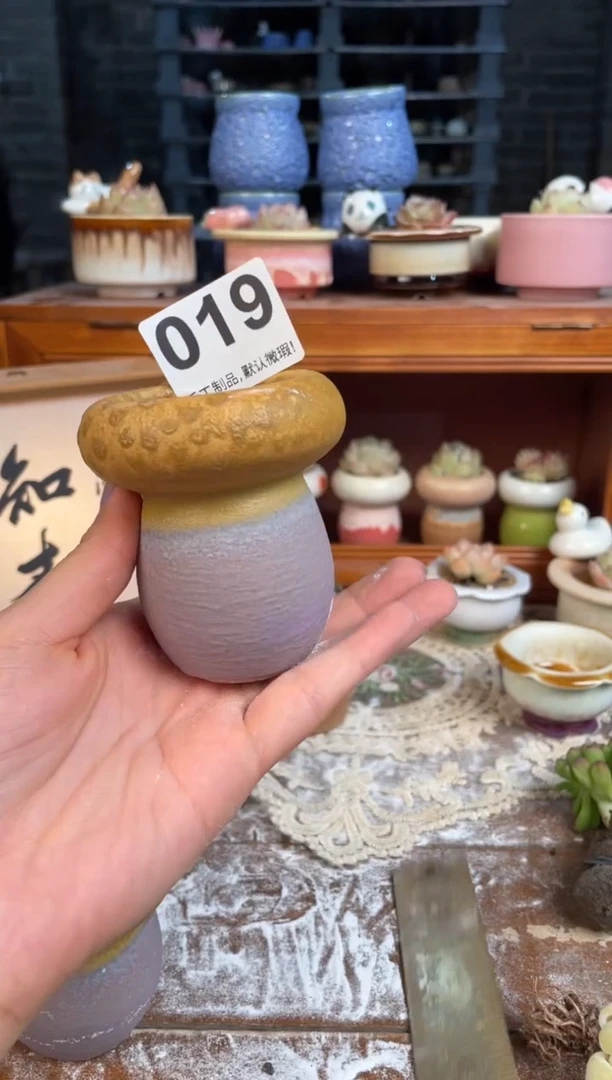 瓷片019小芳花盆直播编号