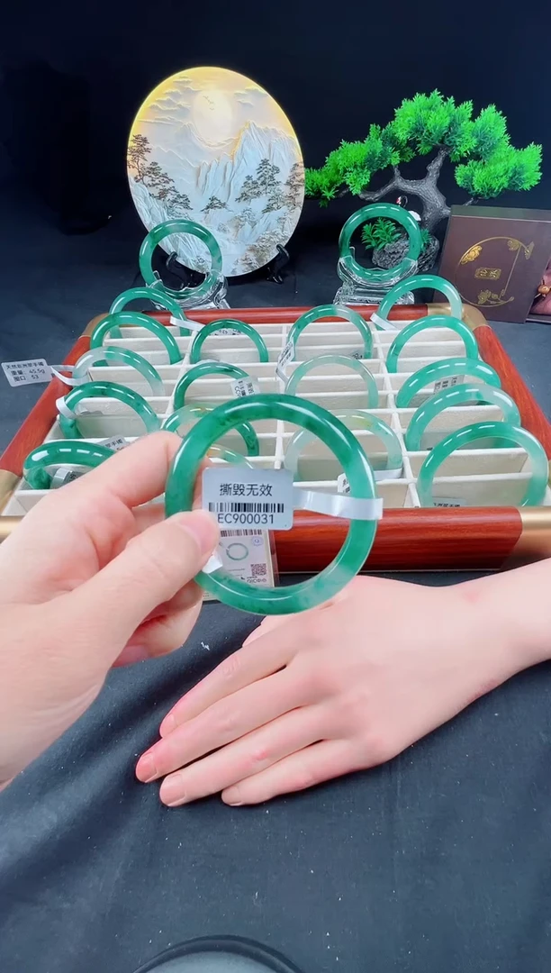 未镶嵌手镯石英质玉（非洲翠）真品上等纯天然非洲翠玉手镯石英质玉
