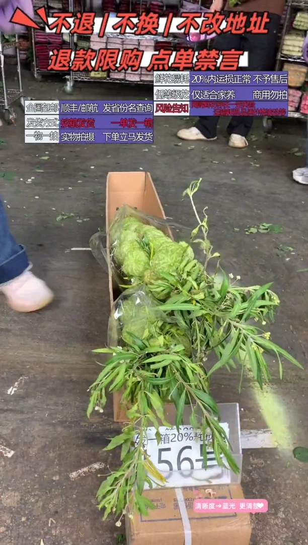 156号♥含20%耗损发一箱