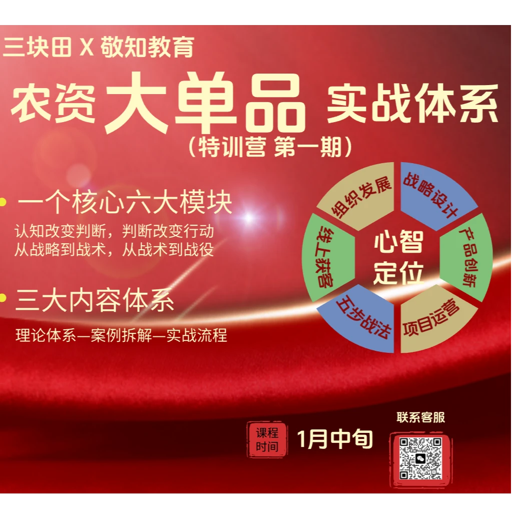 大单品实战体系（特训营 第一期） 老板带队三人