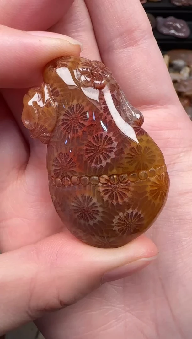 颈饰未镶嵌硅化珊瑚（珊瑚玉）122