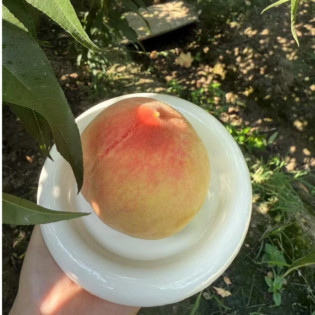 【正宗阳山湖景蜜露】5-4两12只装 新鲜采摘顺丰包邮江苏省