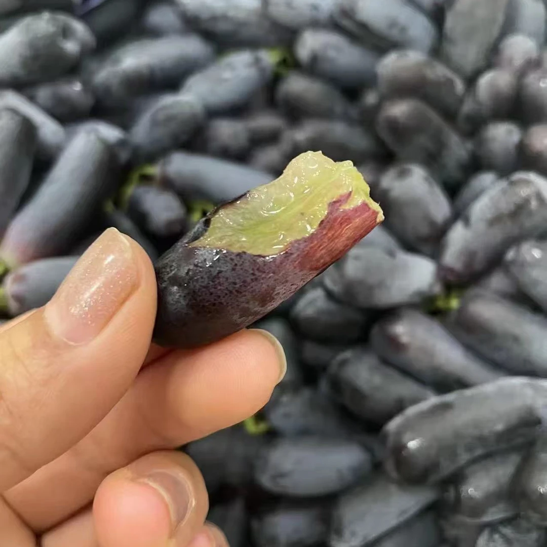 《表妹儿严选》新疆金手指葡萄 脆甜多汁 无籽新鲜采摘 礼盒装新疆维吾尔自治区