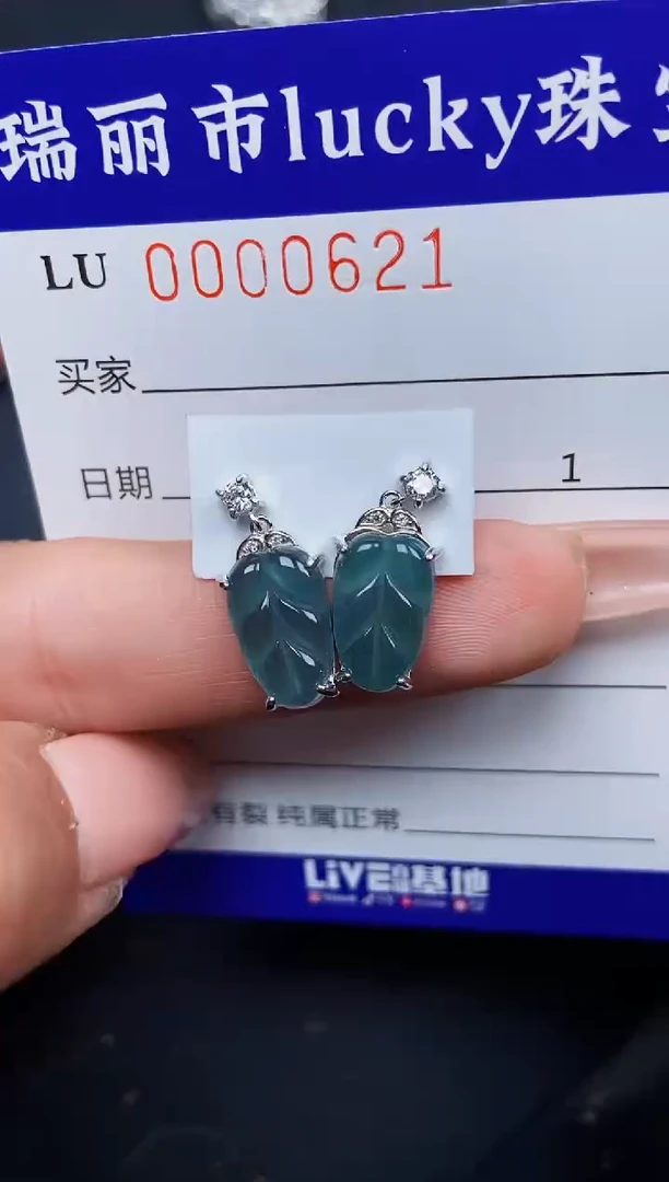 【闪购商品】翡翠颈饰银S925镶嵌0621
