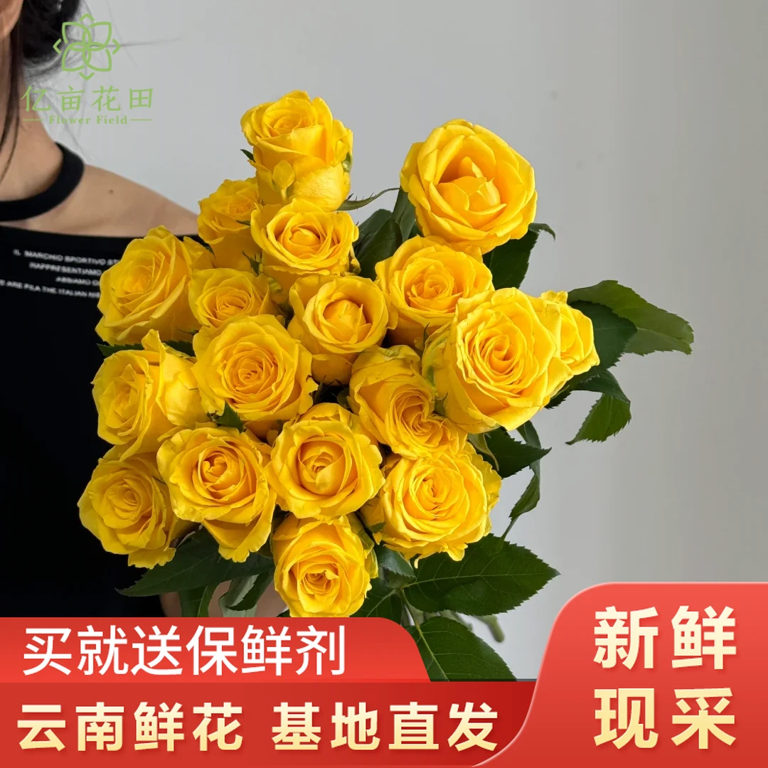 【超值爆款】金枝玉叶玫瑰20支 云南鲜花全店任意2件顺丰京东包邮