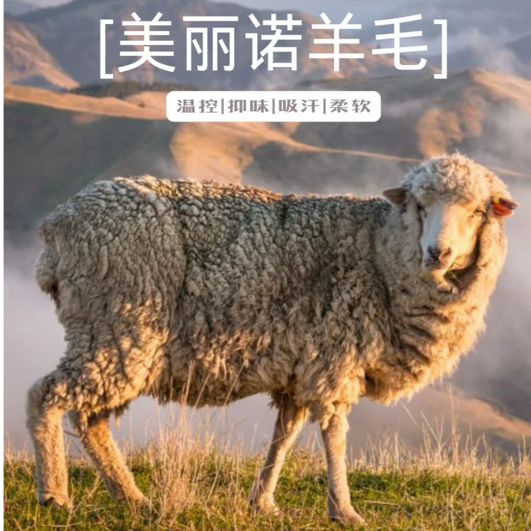 C201--C299美丽诺羊毛孤品（n0退n0换）清仓