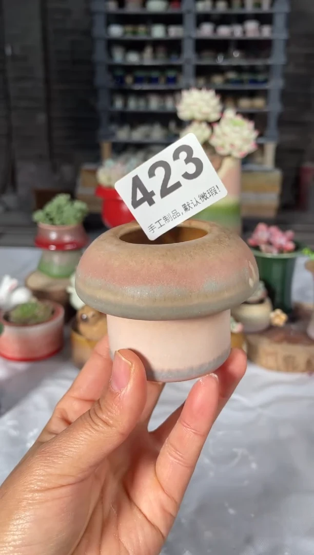 瓷片423小芳直播编号