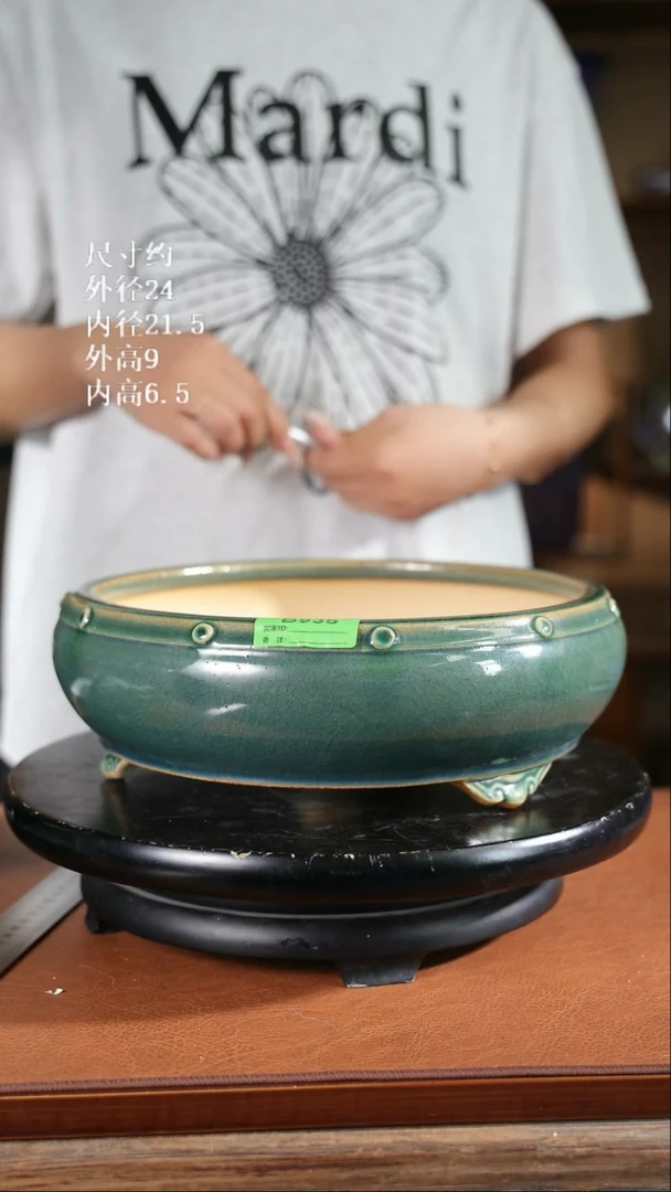 【限时买三免一活动】10寸太古盆 935