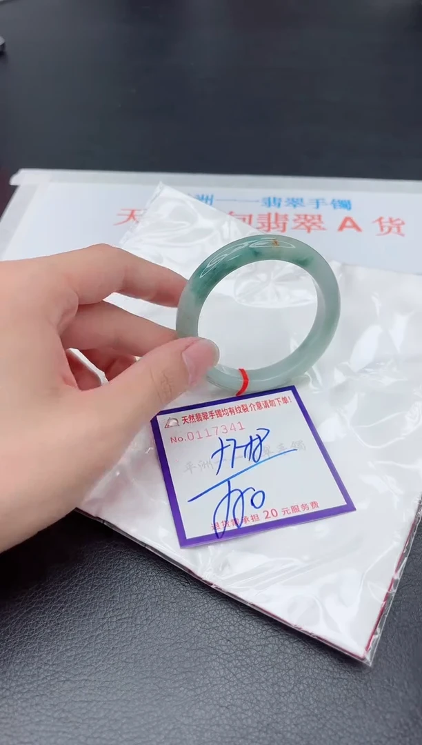 未镶嵌手镯翡翠1