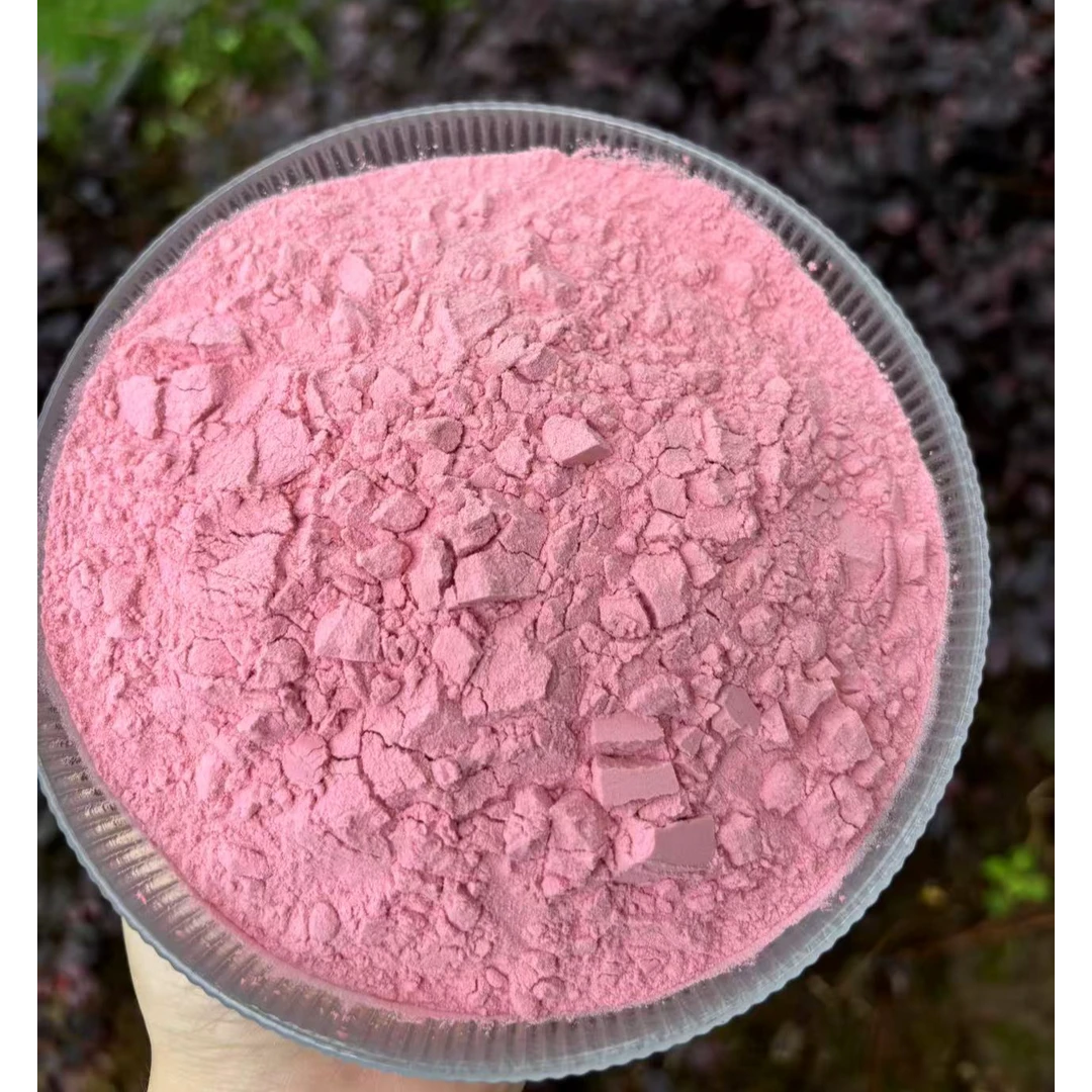 【油滚蛋7.0加强版】茶膏伴侣 诺丽果针叶樱桃酵素粉油脂大扫除  4