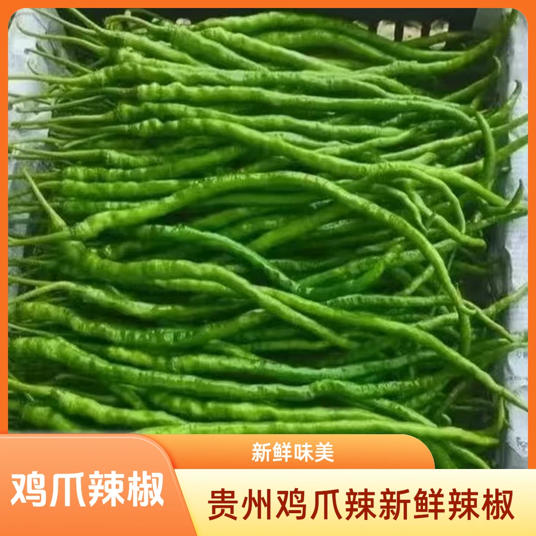 贵州特产大方新鲜辣椒皱椒线辣农家本地辣椒鸡爪辣现采现摘