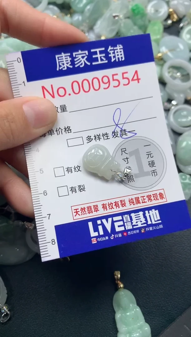 颈饰未镶嵌翡翠9554