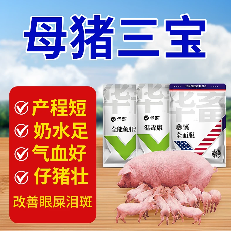 母猪三宝净化母猪保健增免套餐