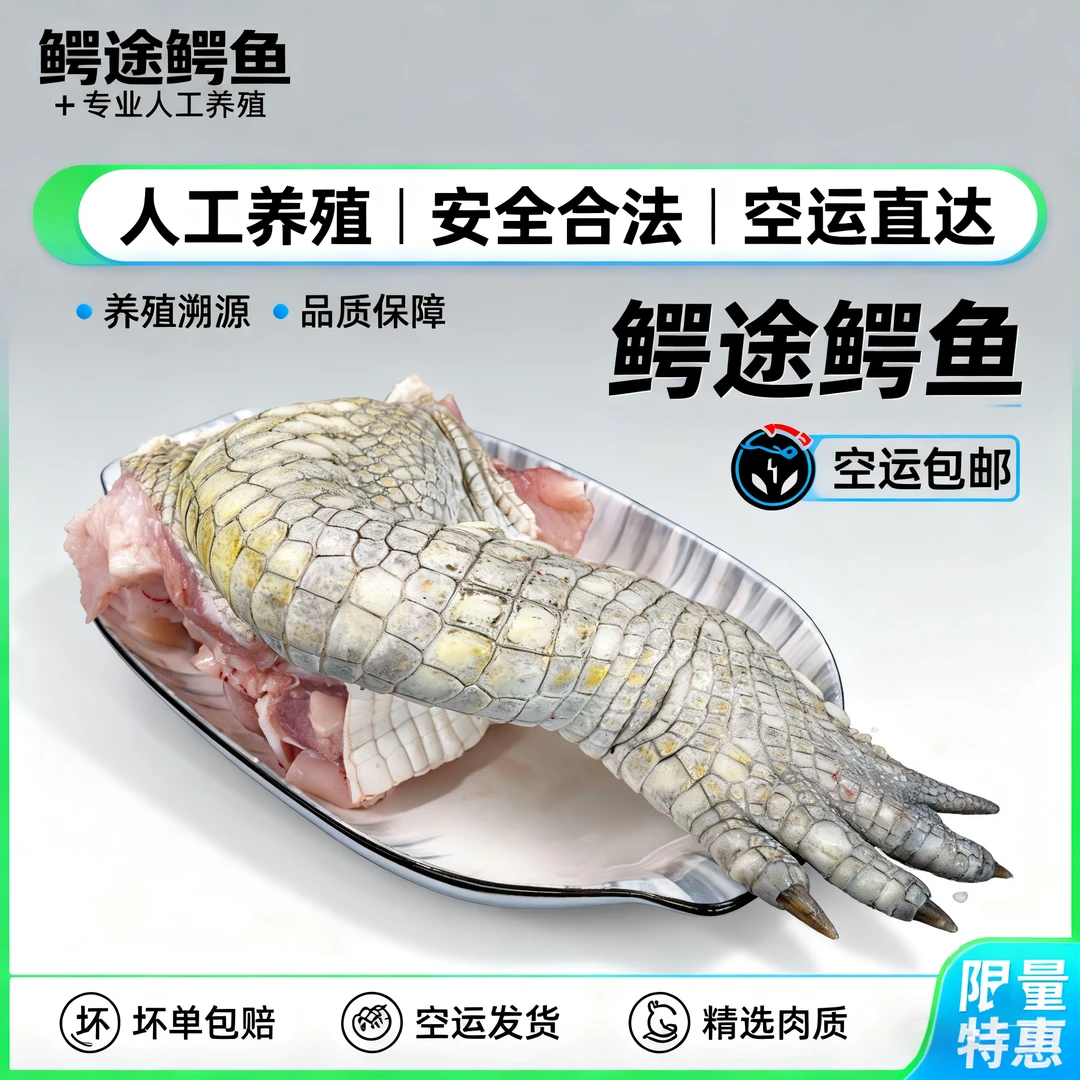 中秋直播间一物一拍 新鲜人工养殖鳄鱼胶质肥厚火锅红烧 软糯好吃