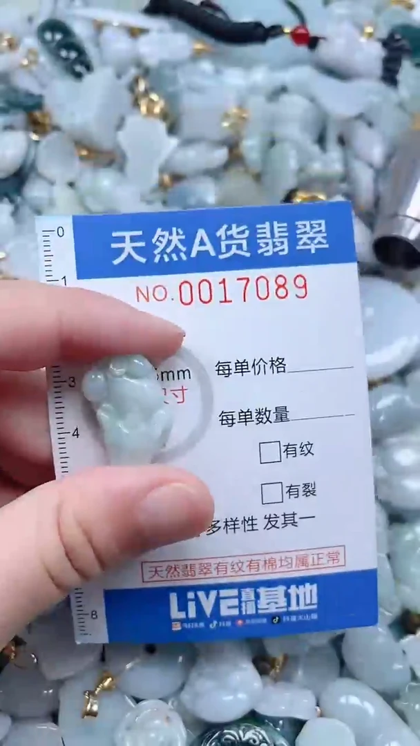 翡翠未镶嵌吊坠(不含链)1