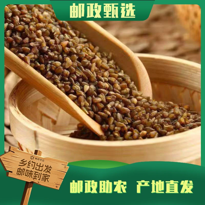 [邮政专属]云南下山好货苦荞碎米