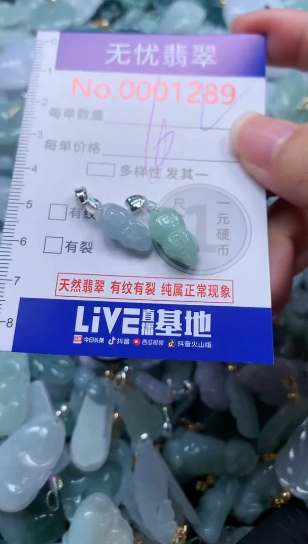 颈饰未镶嵌翡翠1289