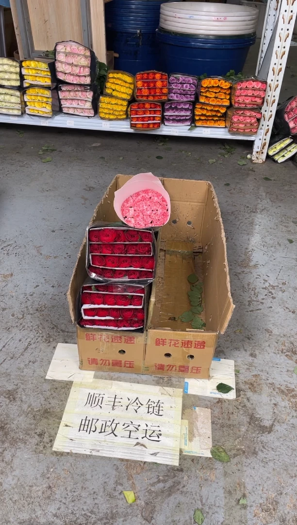 高原红2扎+粉康20枝