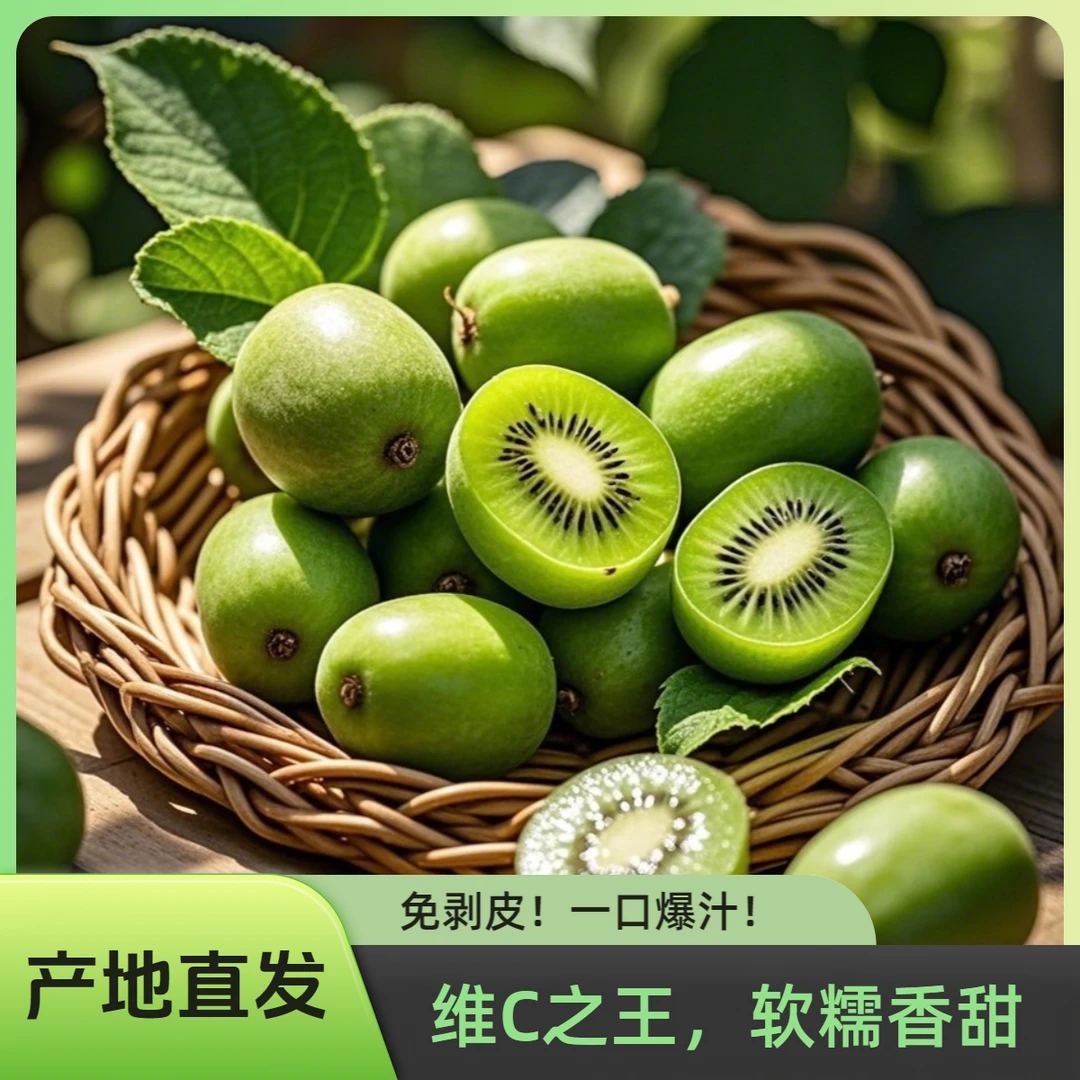 【丹东母株直发】维C之王，免剥皮1颗维C=6橙子，营养核弹级！顺丰包邮