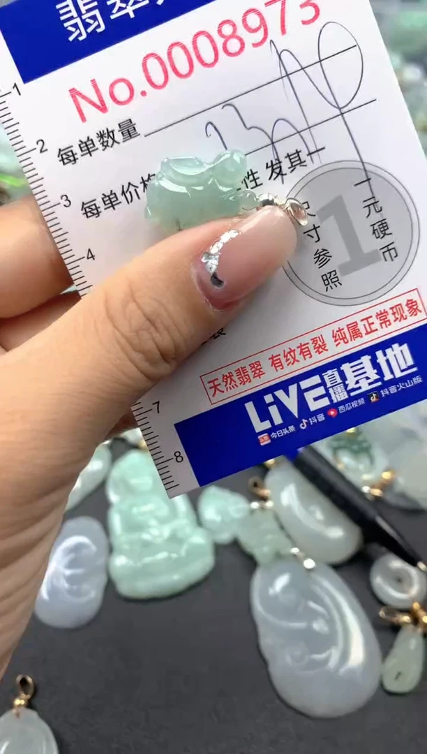 颈饰未镶嵌翡翠8973