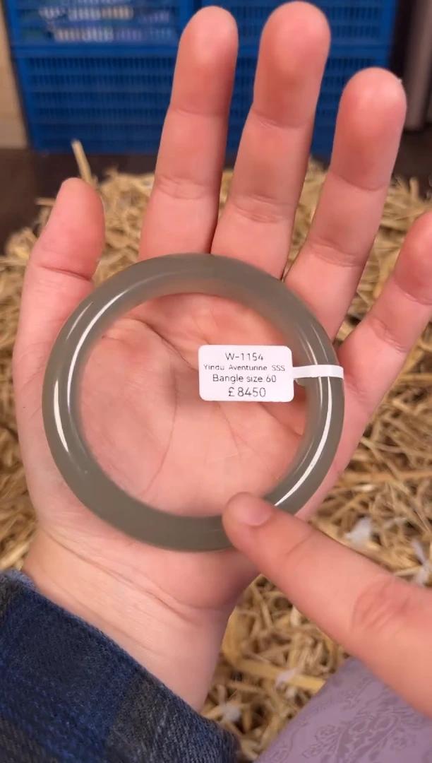 未镶嵌手镯石英质玉W1154