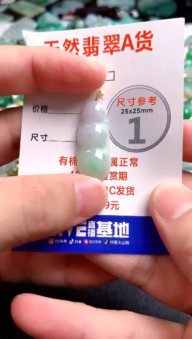 翡翠18K金镶嵌颈饰13003065