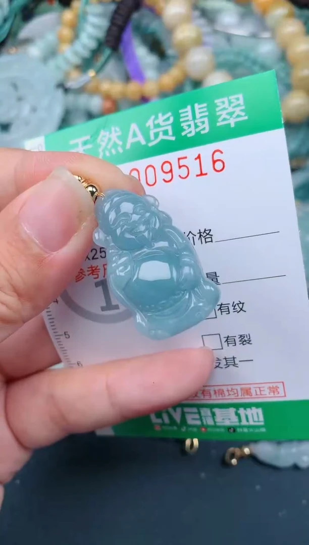 翡翠未镶嵌颈饰.0009516