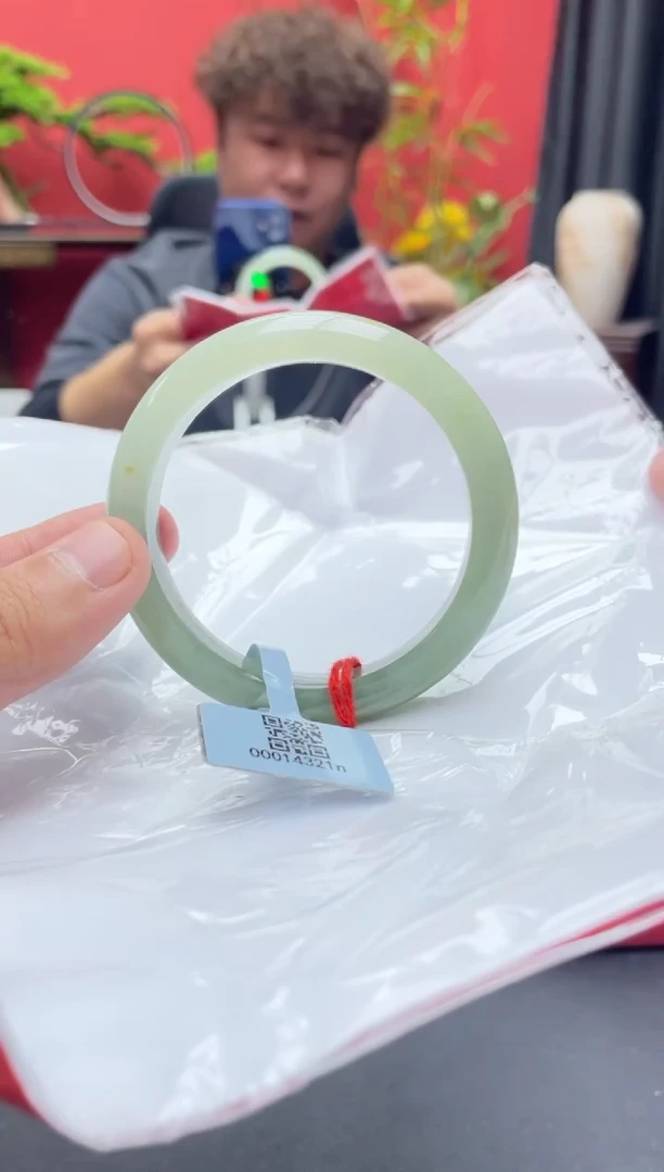 未镶嵌手镯翡翠9
