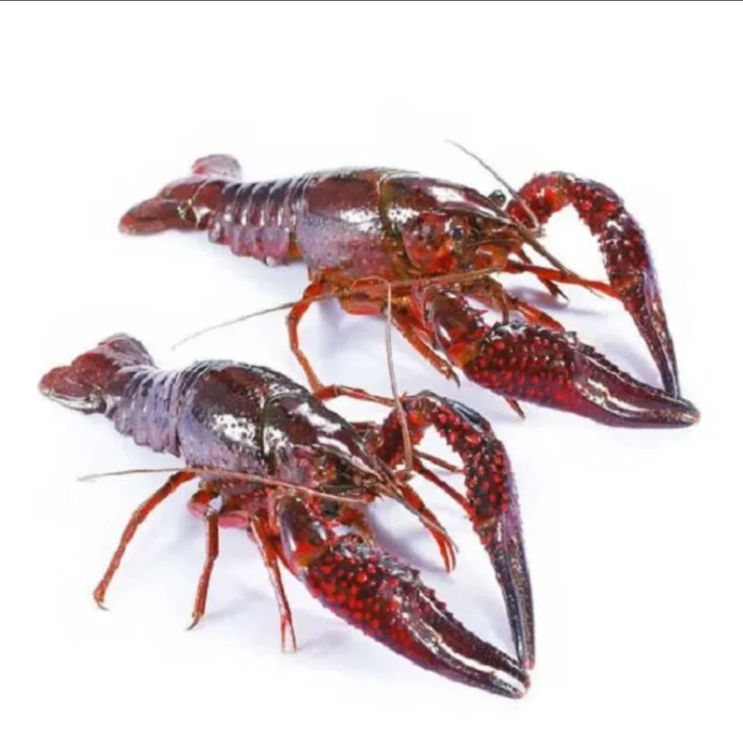 小龙虾(Y)2500g/份
