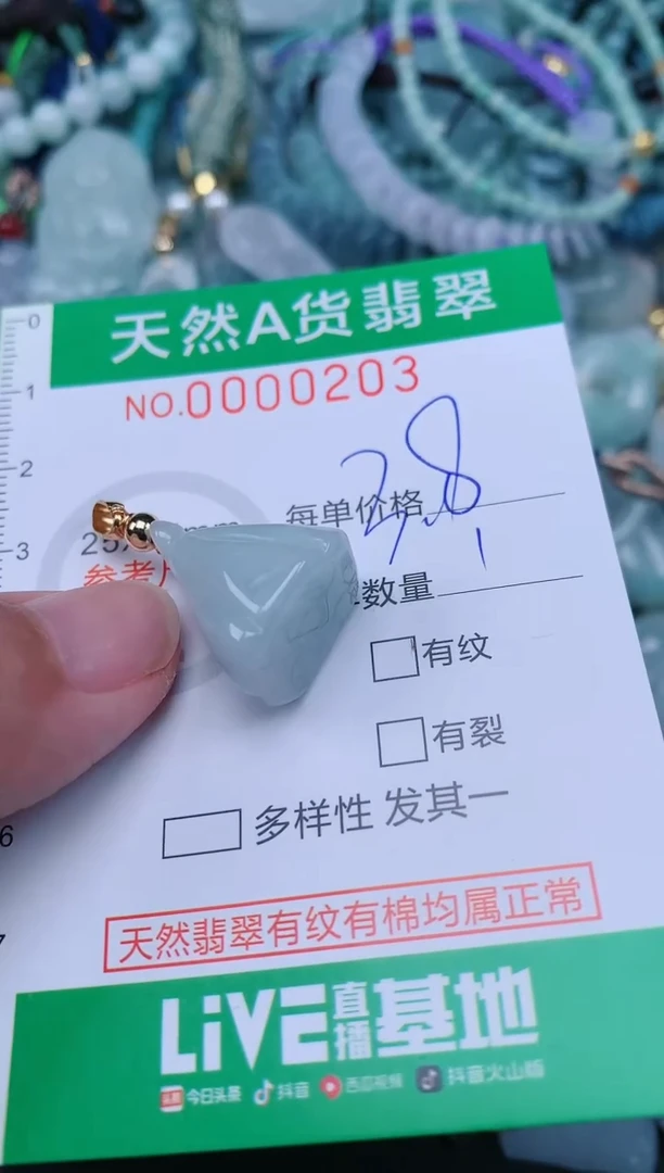 翡翠未镶嵌颈饰.0000203