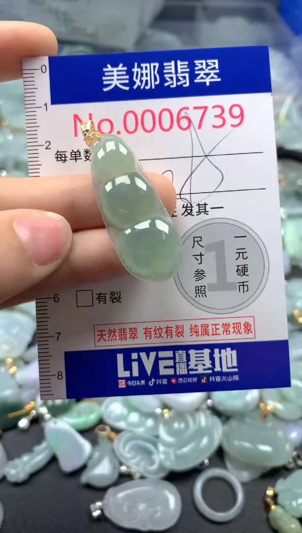 颈饰未镶嵌翡翠6739