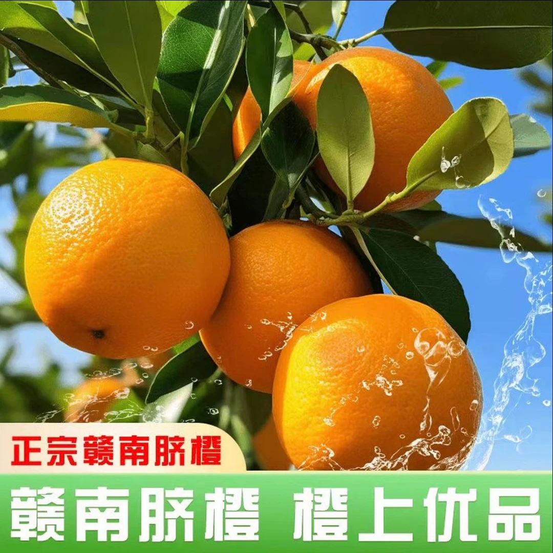 【空运次日达】正宗江西赣南脐橙香甜爆汁孕妇水果现摘自然成熟带箱5斤多仓发货江西省