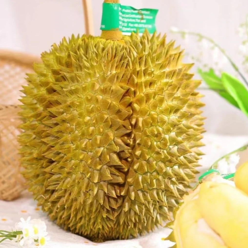 【果禾家】特价福利果（售后无）！1.5—2斤新鲜金枕榴莲现剥纯果肉核大小不一送货上门金枕越南