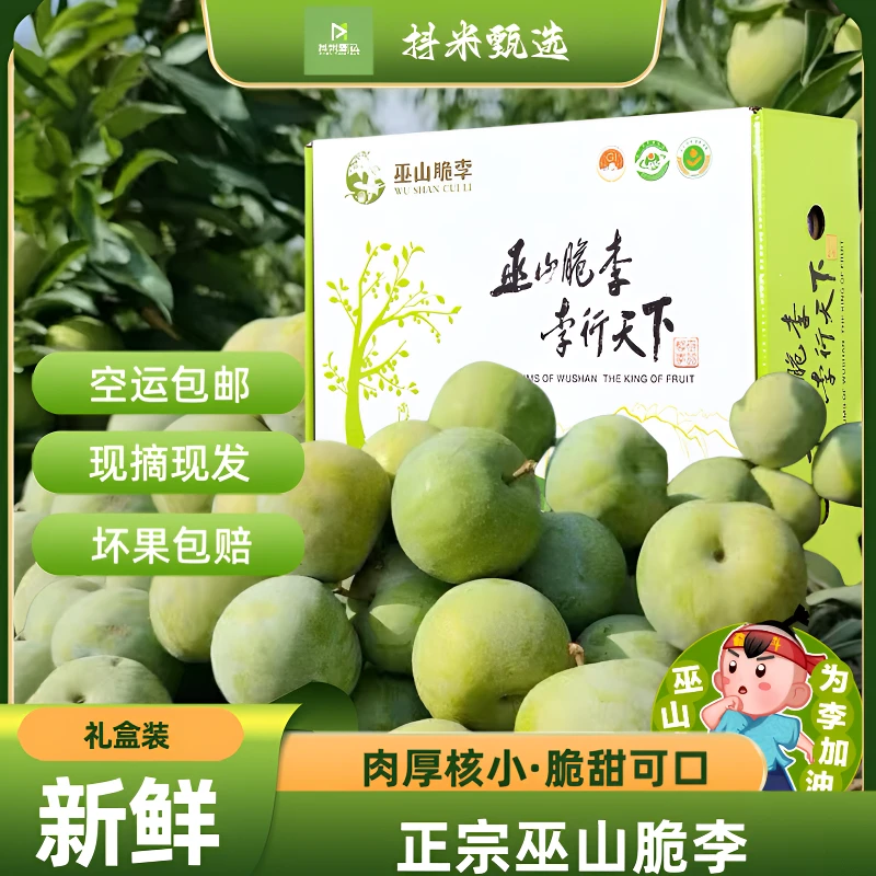 正宗巫山脆李黄心脱骨新鲜果园现摘现发脆甜爽口航空包邮送货上门