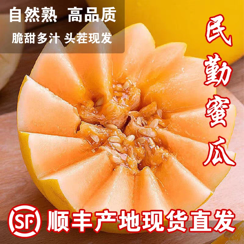 【良周•迹忆】民勤金红宝蜜瓜6-9斤 2-3枚装顺丰京东产地直发-1仓