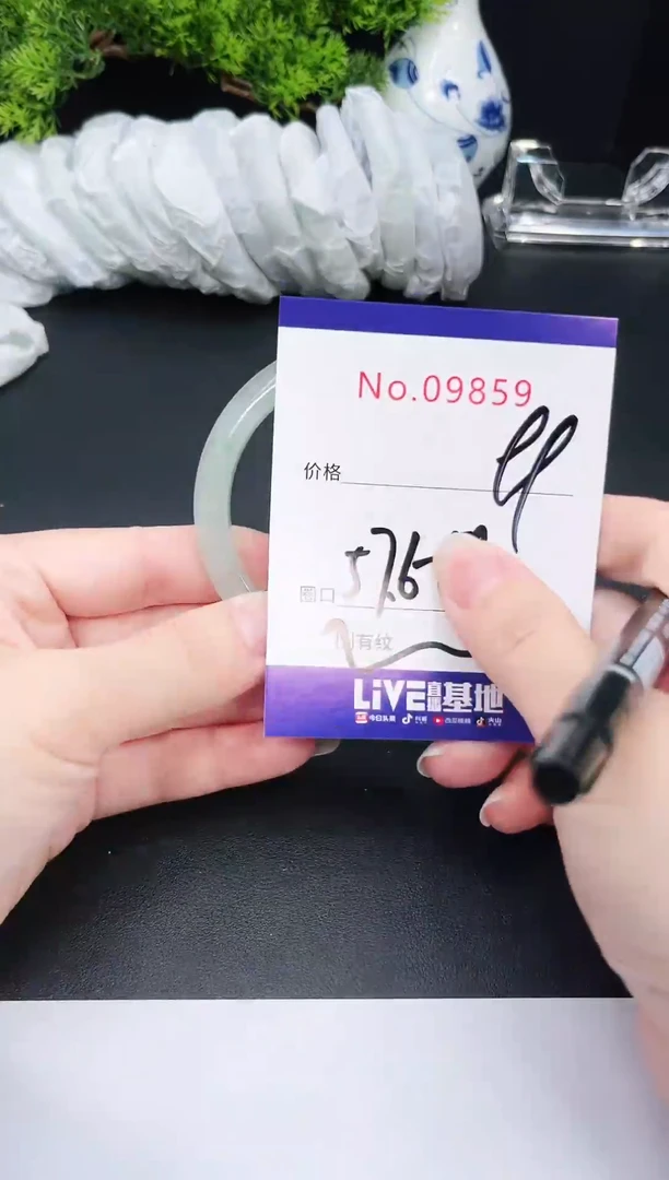 未镶嵌手镯翡翠9859