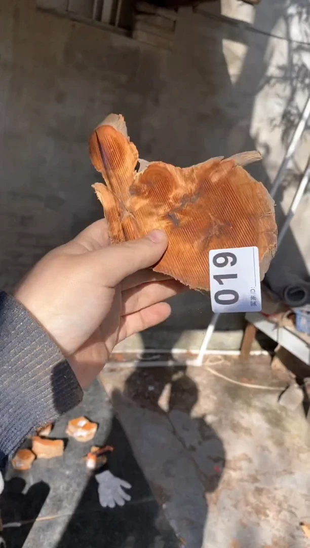 【闪购商品】柏木太行陈化崖柏（津诚林）切片