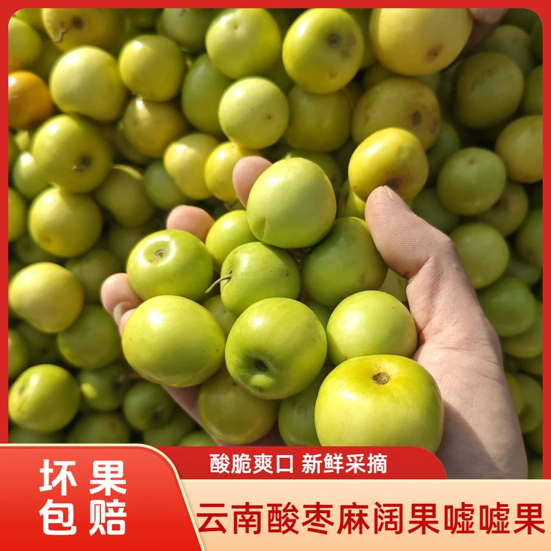 酸麻阔果嘘嘘果酸枣云南新鲜酸脆嫁接青枣原树新鲜水果孕妇酸枣