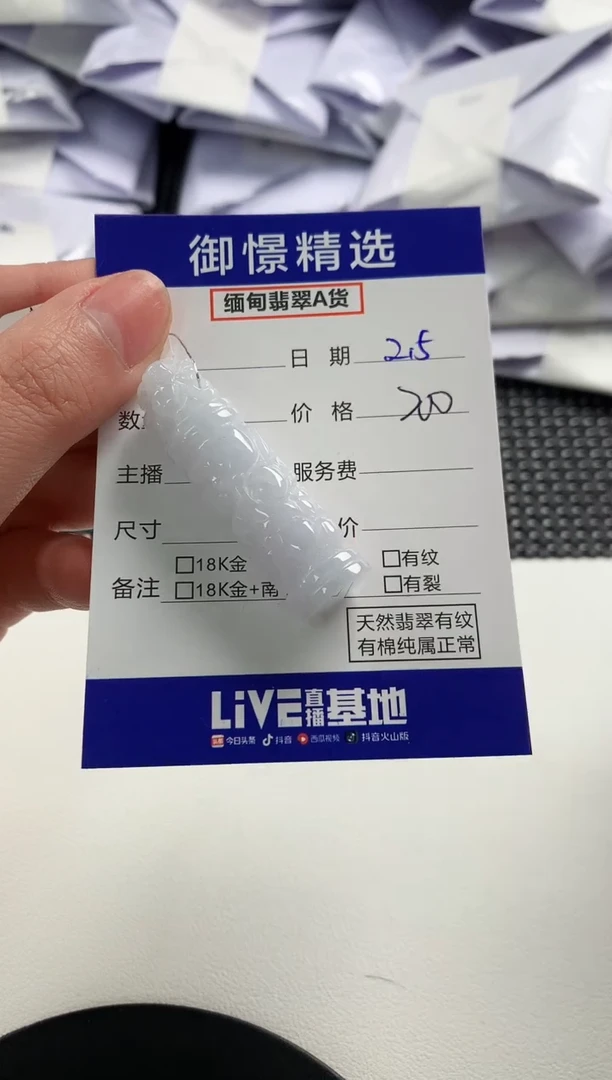 【闪购商品】翡翠颈饰未镶嵌3