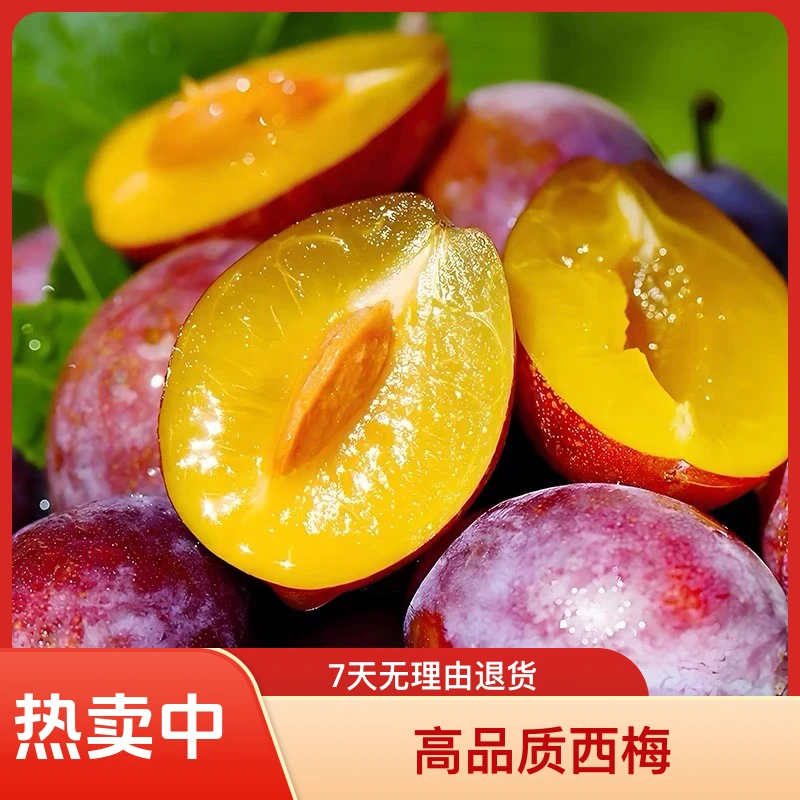 【吉林榴鲜生】法兰西西梅鲜果一盒500g