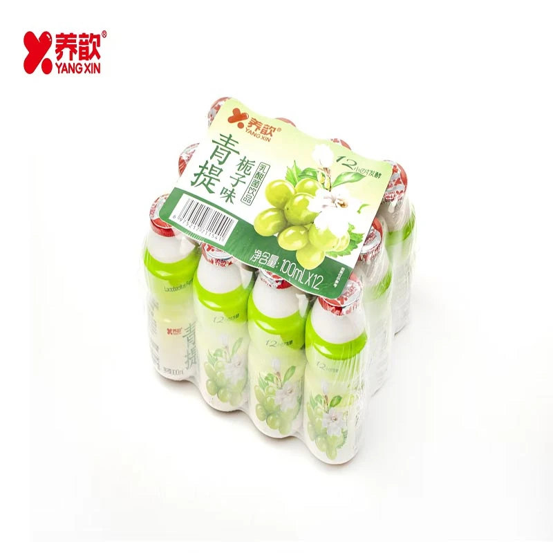 养歆青提栀子味乳酸菌饮品100ml*12/包