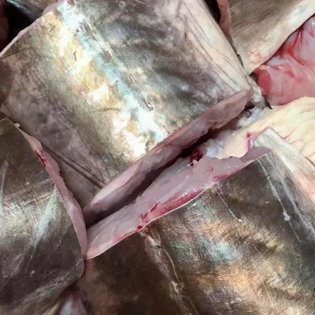 （顺丰发货）广东汕尾甲子本港 野生钓麻鱼 当天捕捞