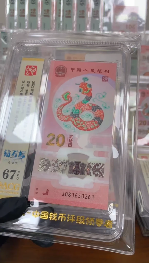 塑料2025蛇钞 真钞 评价封装 标十